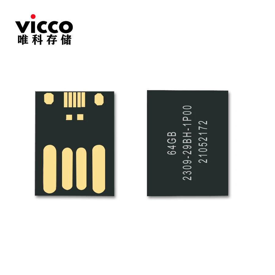 Chip Flash Usb